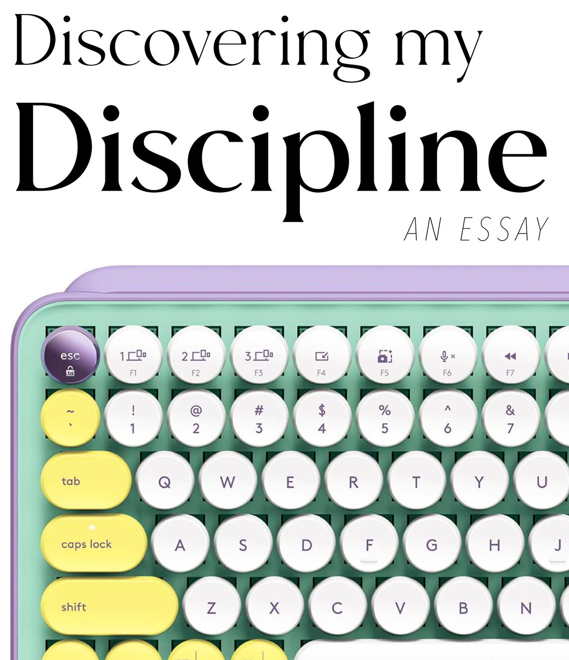Discovering my Discipline