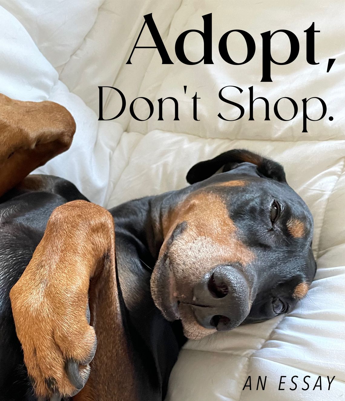 Adopt, Don't Shop