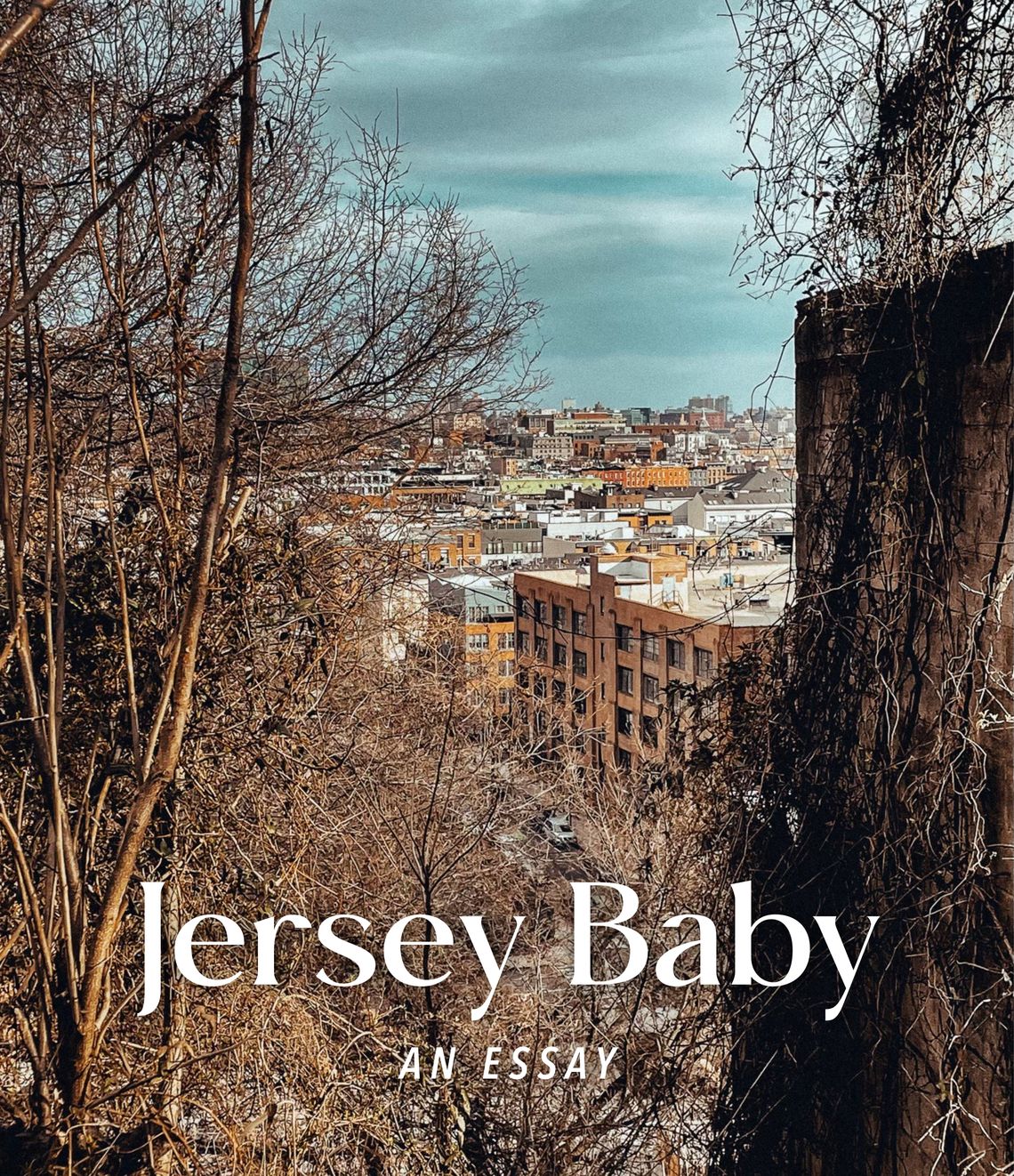 Jersey Baby