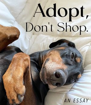 Adopt, Don't Shop